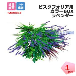 �J���[BOX ���x���_�[ 1�� VG-LASET �C���V�����b�N�t�� �r�X�^�t�H���A �ǖʗΉ��p�l�� �l�H�A�� �t�F�C�N�O���[�� �l���z���{1000�~