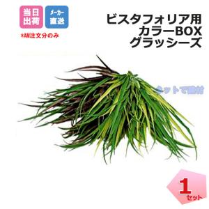 �J���[BOX �O���b�V�[�Y 1�� VG-VFLGSET �C���V�����b�N�t�� �r�X�^�t�H���A �ǖʗΉ��p�l�� �l�H�A�� �t�F�C�N�O���[�� �l���z���{1000�~