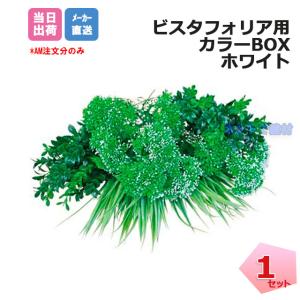 �J���[BOX �z���C�g 1�� VG-WHSET �C���V�����b�N�t�� �r�X�^�t�H���A �ǖʗΉ��p�l�� �l�H�A�� �t�F�C�N�O���[�� �l���z���{1000�~