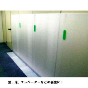 プラベニヤ 白 5mm 910×1820mm ...の詳細画像2