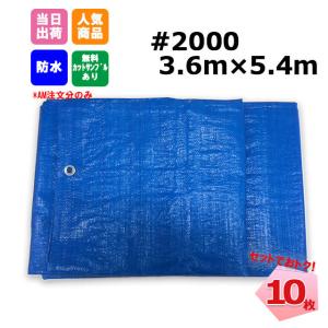 �u���[�V�[�g 3.6m x 5.4m #2000 10���Z�b�g �H�� �C�x���g �{�� KUS ���W���[�V�[�g ��C �䕗�@181210200