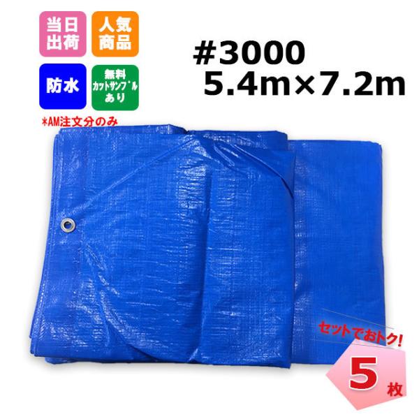 ブルーシート 厚手 #3000 5.4m×7.2m 5枚 KMネクスト 181210380
