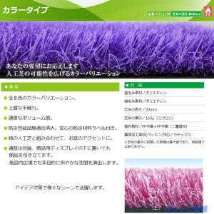 クローバーターフ カラータイプ 1本 PAEグ...の詳細画像1