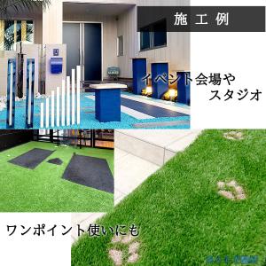 クローバーターフ カラータイプ 1本 PAEグ...の詳細画像3