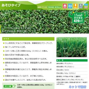 クローバーターフ あそびタイプ CTA30 5...の詳細画像1