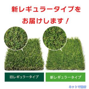 クローバーターフ レギュラータイプ CTR30...の詳細画像3