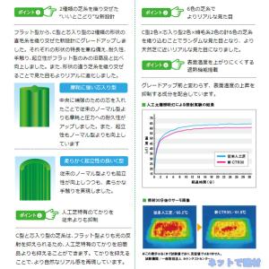 クローバーターフ レギュラータイプ CTR30...の詳細画像2