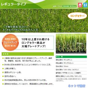 クローバーターフ レギュラータイプ CTR30...の詳細画像1