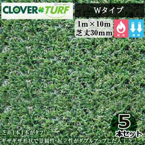 オータムセール)クローバーターフ レギュラータイプ CTR30 5本 セット