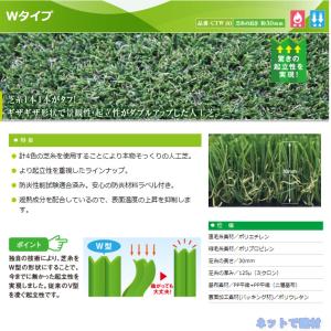 クローバーターフ Wタイプ CTW30 1本 ...の詳細画像1