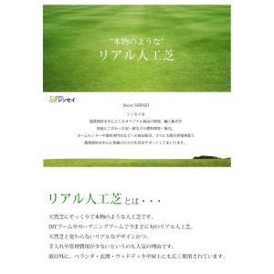 リアル人工芝 防草シート不要 つや消しタイプ ...の詳細画像1