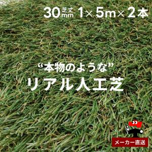 IRIS OHYAMA（アイリスオーヤマ） リアル防草人工芝 3個セット RP