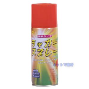 ラッカースプレー 48本セット 300ml 速...の詳細画像2