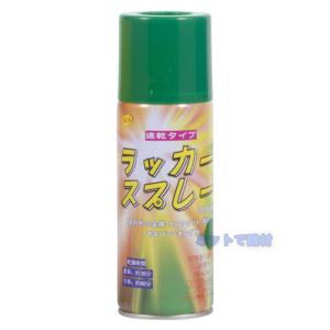 ラッカースプレー 48本セット 300ml 速...の詳細画像5