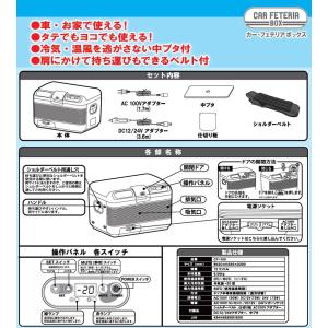 激安超特価 Newing ニューイング ポータブル冷温庫 Cf 100 カー 送料無料 Sfj フェテリアボックス