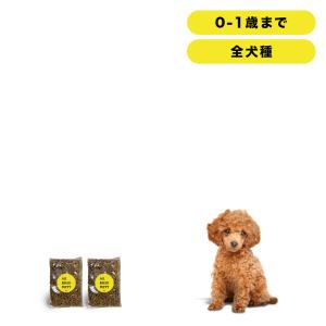 森乳サンワールド 森乳 サンワールド スーパーゴールド フィッシュ