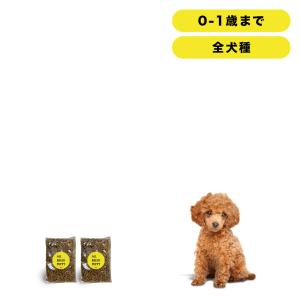 INUMESHI　フィースト　子犬用　全犬種用　200g（100g×2袋）　おためしパック｜net-ryohin