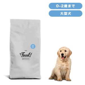 INUMESHI　フィースト　ドックフード(成犬・高齢犬用 ) 15kg Amazon.co.jp: INUMESHI フィースト ドッグフード 1歳以上 大型