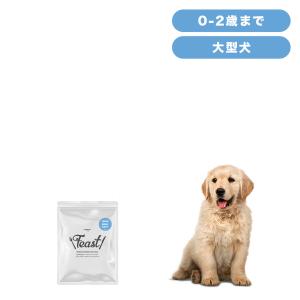 INUMESHI フィースト 子犬用 大型犬用 15kg ブリーダーパック