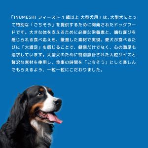 INUMESHI フィースト 1歳以上 大型犬...の詳細画像2