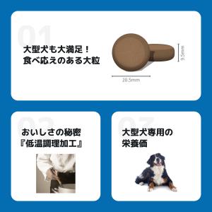 INUMESHI フィースト 1歳以上 大型犬...の詳細画像3