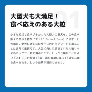 INUMESHI フィースト 1歳以上 大型犬...の詳細画像4