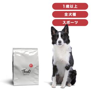 ニュートロ 在庫あり ナチュラルチョイス プレミアム チキン 中型犬