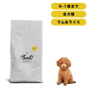 INUMESHI　フィースト　ラム&amp;ライス　子犬用　全犬種用　15kg　ブリーダーパック