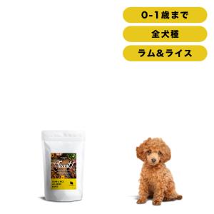 INUMESHI　フィースト　ラム&ライス　子犬用　全犬種用　1kg｜net-ryohin
