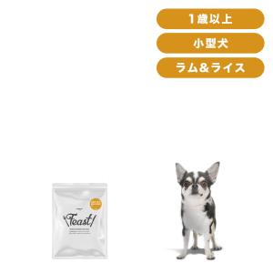 森乳サンワールド 森乳 サンワールド スーパーゴールド フィッシュ