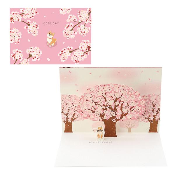 グリーティングカード　入園入学祝い　立体　桜と柴犬柄　[M便 1/4]