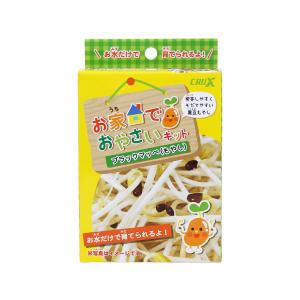 お家でおやさいキット　ブラックマッペ　もやし　100799