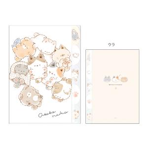 Pokemon ポケモン ダイカットポケット付き3インデックスクリア