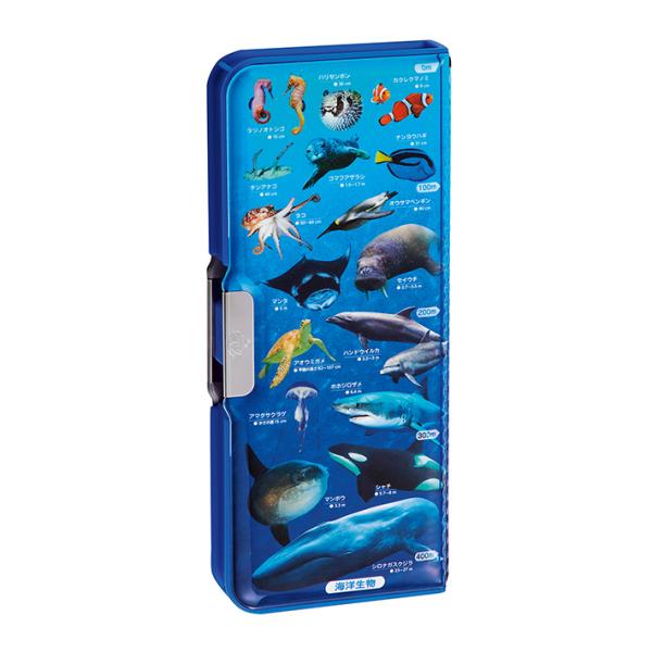 クツワ　筆箱　両面　学べる2ドア筆入　海洋生物　SF022　新入学文具　[M便 1/2]