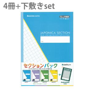 ジャポニカセクション　セクションパック　5mm方眼罫　リーダー罫入り　B5　4冊セット+下敷き　102057M04　[M便 1/1]｜net-shibuya