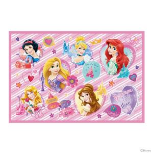 ディズニー・プリンセス　レジャーシートS　vs1 [M便