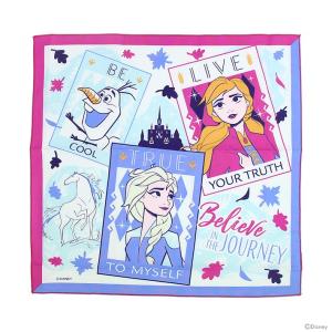 〔53%OFF〕ディズニー・プリンセス　アナと雪の女王2　ランチクロス　KB4　[M便