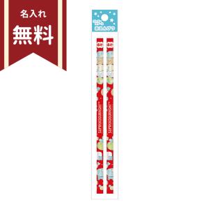 すみっコぐらし　赤鉛筆　丸軸　2本組　ゴーゴースクール柄　PH13801　新入学文具　名入れ無料　[M便