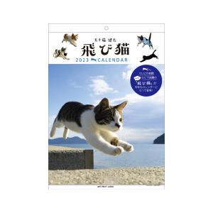 五十嵐健太 2023 カレンダー 飛び猫 1000123670