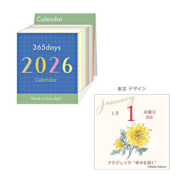 カラフル文字　2026年　卓上カレンダー　ミニチュア　日めくり　1000136985　[M便 1/1...
