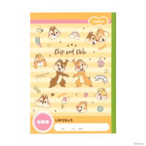 ショウワノート 星のカービィ 自由帳 B5 4901772088257 新入学文具 [M