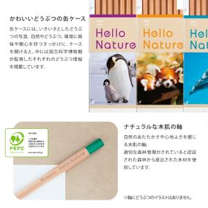 トンボ鉛筆 ハローネイチャー 缶入色鉛筆 12...の詳細画像3