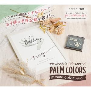 シャチハタ パームカラーズ メゾカラー 手形ス...の詳細画像2