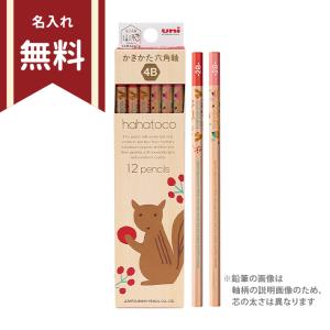 三菱鉛筆 Hittat! ヒッタト かきかた鉛筆 2B 1ダース リラックス