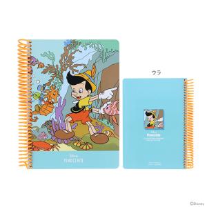 サンスター文具 ディズニー ピーターパン リングノート B6 レトロ
