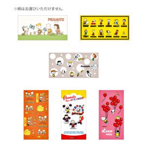 ショウワノート ポケモン ポチ袋・お年玉袋 各3枚入 2柄のうちどれが