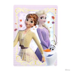ディズニー・プリンセス　アナと雪の女王　下敷き　B5　4901770664767　新入学文具　[M便