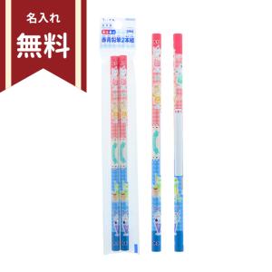 CRUX かきかた鉛筆 2B 丸軸 12本組 赤鉛筆1本入り ナイトスカイ CRUX かきかた鉛筆 2B 丸軸 12本組 赤鉛筆1本入り ナイトスカイ