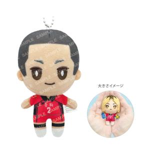 日向翔陽 おおきいにとたん ぬいぐるみ【新品タグ付き】 日向 翔陽 ハイキュー!! タグ付き新品 Chibiぬいマスコット
