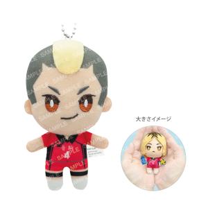 ショウワノート ハイキュー！！ おてもちぬいぐるみ お天気ver. A 日向